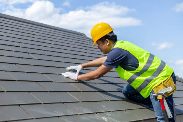 Best Local Roofing Companies  in Pineland, TX