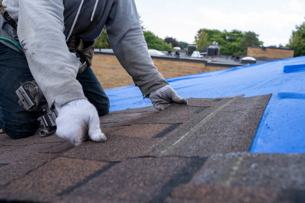 Best Metal Roofing Contractor  in Pineland, TX