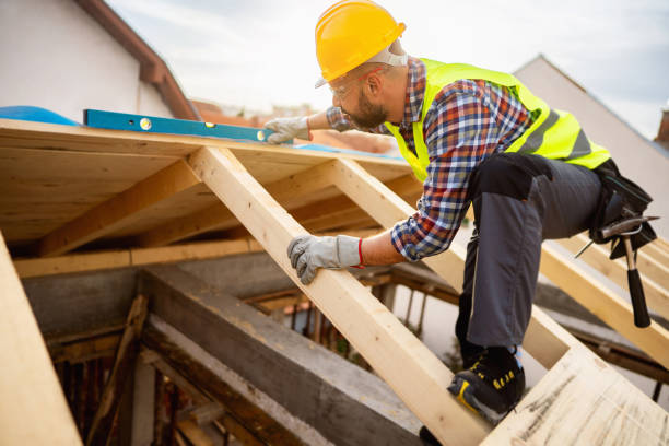Best Roof Maintenance Services  in Pineland, TX