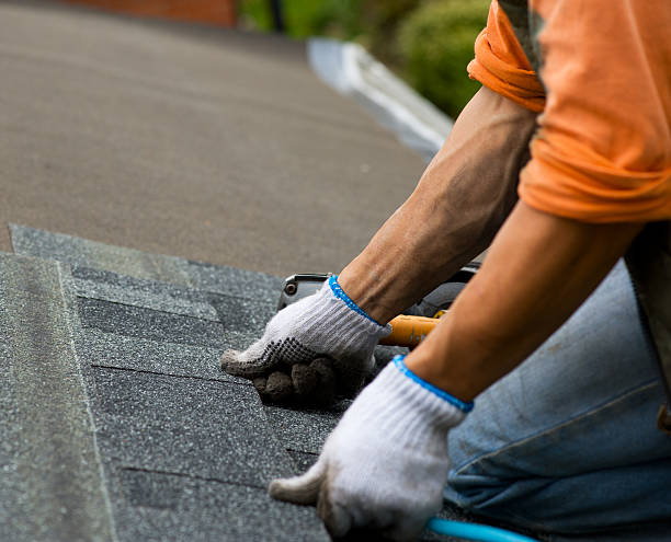 Best Roof Leak Repair  in Pineland, TX