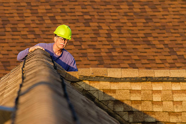 Best Best Roofing Contractors  in Pineland, TX
