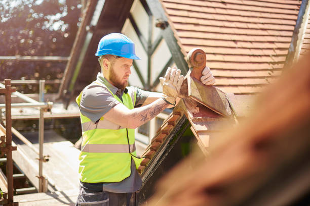 Roof Waterproofing Services in Pineland, TX