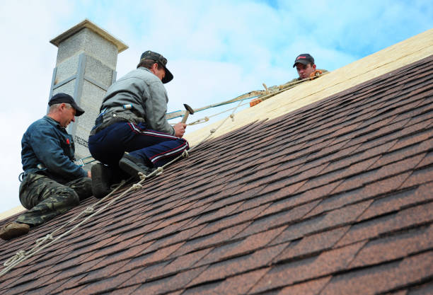 Best Sealant for Roof  in Pineland, TX